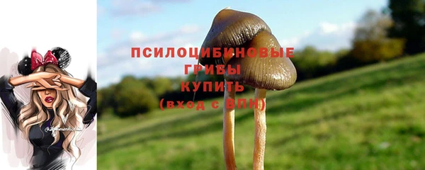 гашик Верхний Тагил